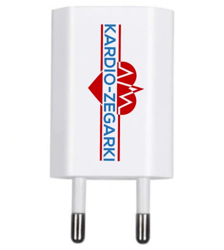 Ładowarka USB-2.jpg