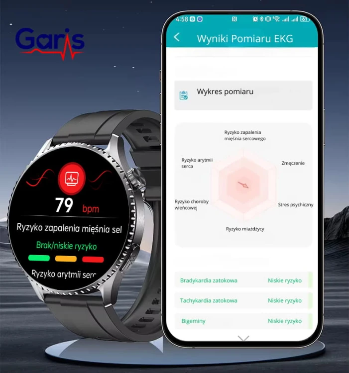 Garis EKG-GS500 - Pomiar EKG.jpg